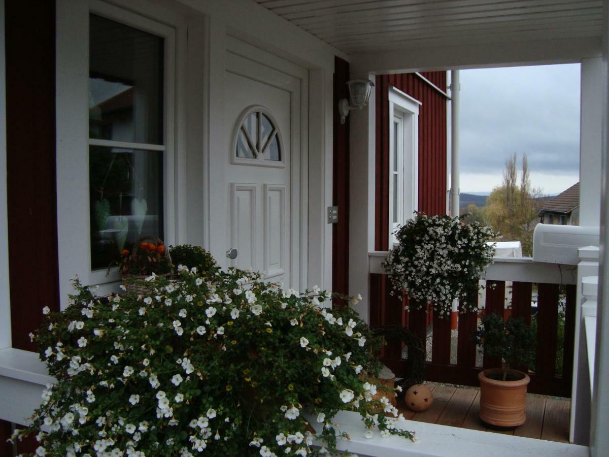 Appartement Haus Nordlicht à Horn-Bad Meinberg Extérieur photo